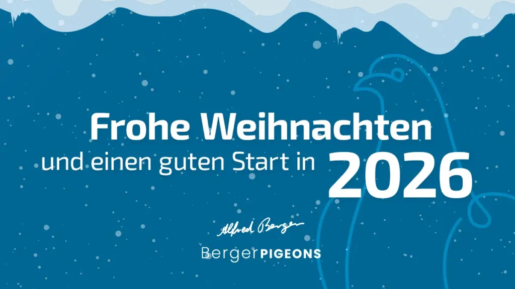 Grafische Weihnachtskarte in Blau mit Schneeflocken und Eiszapfen. Text im Bild: ‚Frohe Weihnachten und einen guten Start in 2026‘ sowie das Logo ‚BergerPIGEONS‘.